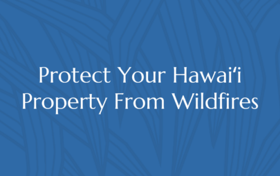 A Proactive Approach to Wildfire Mitigation in Hawaiʻi 