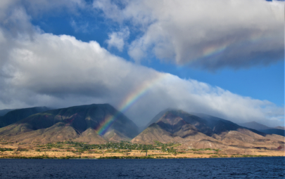 For Our Neighbors: Island Insurance’s Part in the Maui Wildfire Settlement 